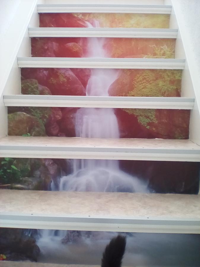 Ferienwohnung Am Geiersberg Walkenried Екстер'єр фото