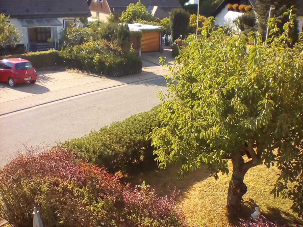 Ferienwohnung Am Geiersberg Walkenried Екстер'єр фото
